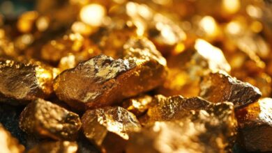 China Gold Discovery