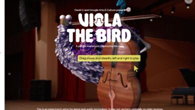 Viola the Bird