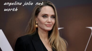 angelina jolie net worth