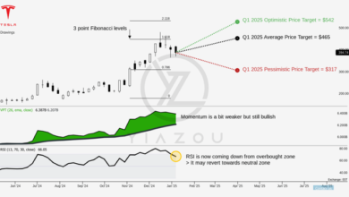 Tesla Stock Prediction 2025